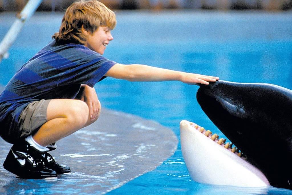 Free Willy' vai voltar aos cinemas